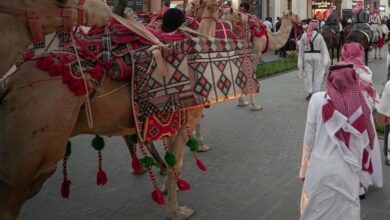 بمساحة 71 ألف متر.. أمانة جدة تستعيد واجهات في أبحر الشمالية