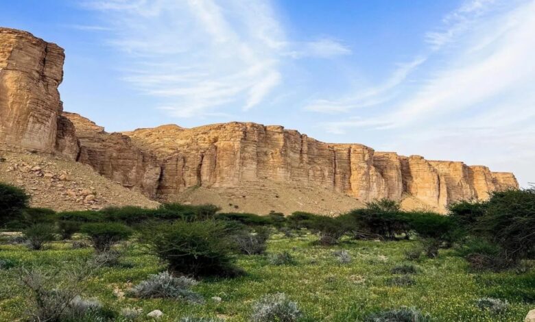 في عالمي البريد..